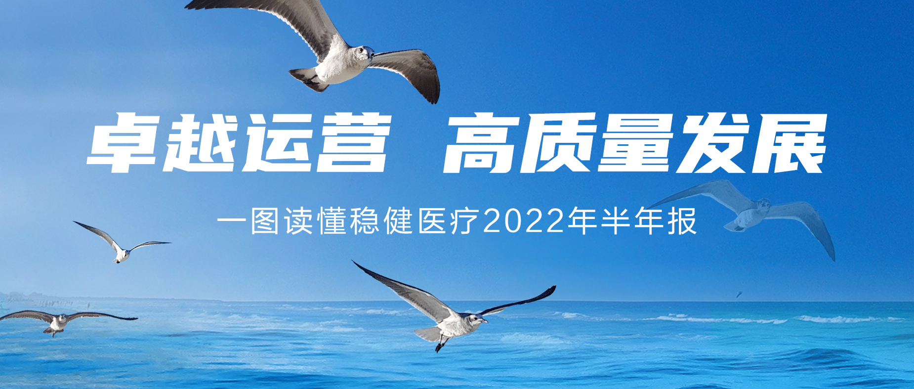 一图读懂AG庄闲医疗2022年半年报
