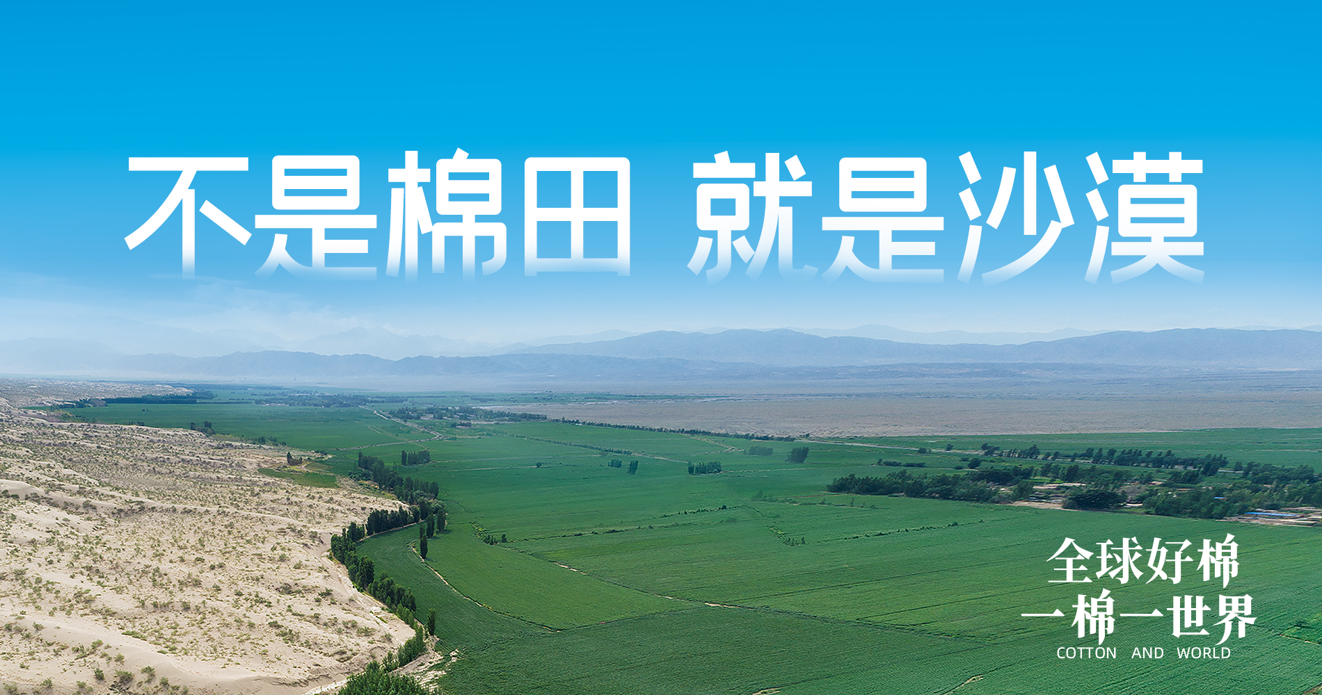 AG庄闲集团董事会多元化政策