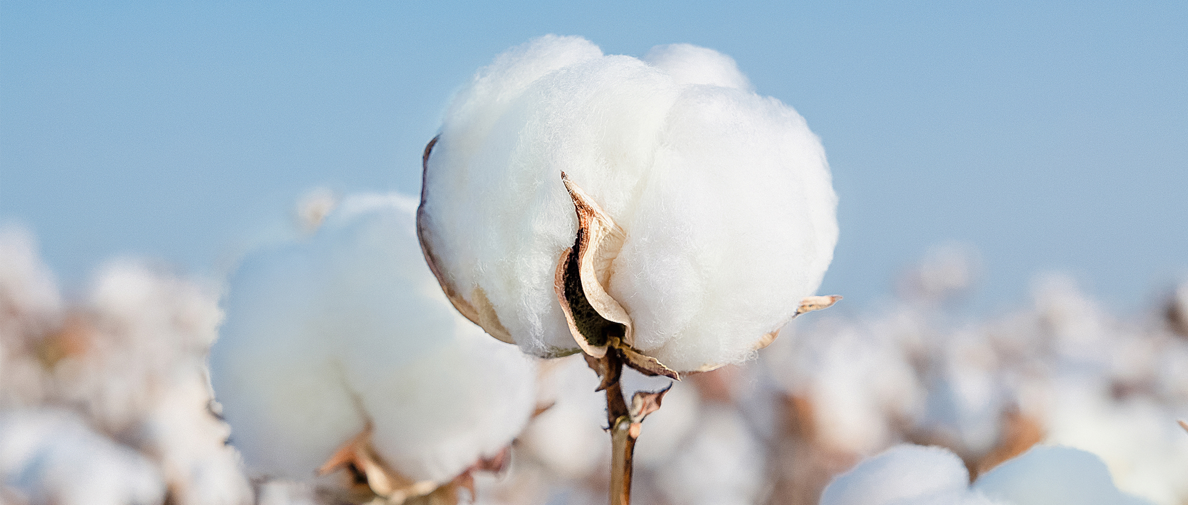 一图读懂AG庄闲集团2024年度ESG报告